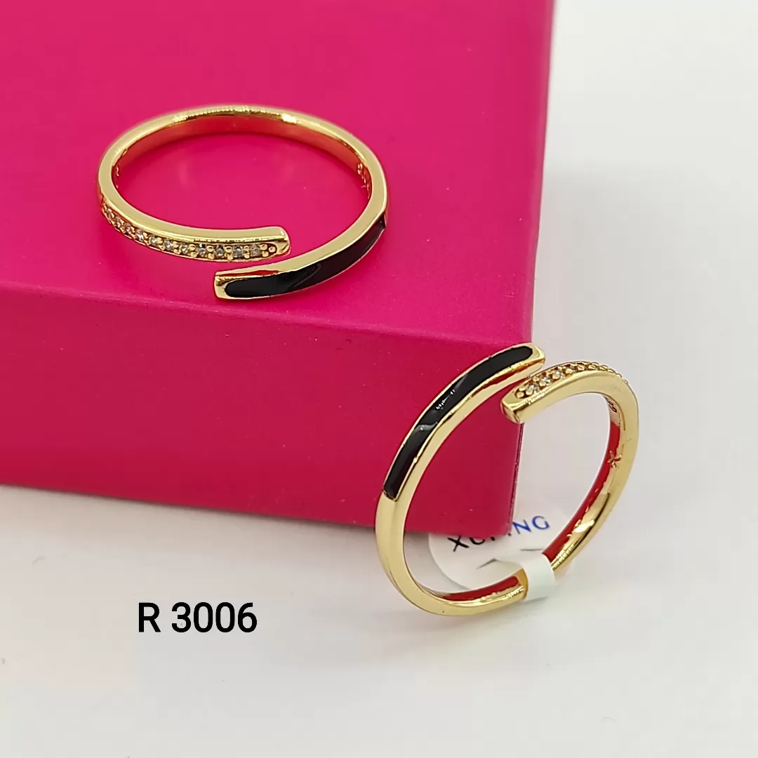 R 3006